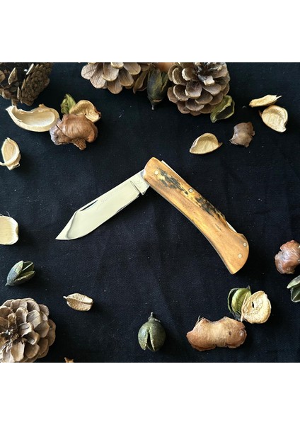 El Yapımı Geyik Boynuzundan Çelik Çakı SRM1012 fiyatları