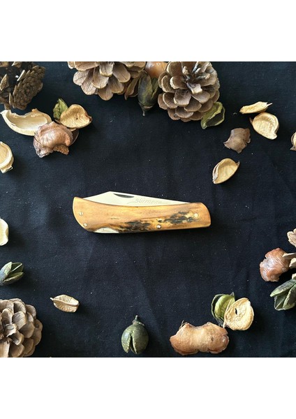 El Yapımı Geyik Boynuzundan Çelik Çakı SRM1012 modelleri