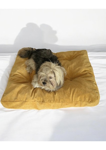 Pouch Hardal Kedi Köpek Minderi 70 x 75 cm fırsatları
