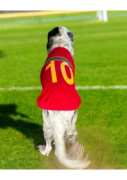Uno Red Büyük Irk Köpekler Için Tişört