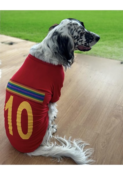 Uno Red Büyük Irk Köpekler Için Tişört fiyatları