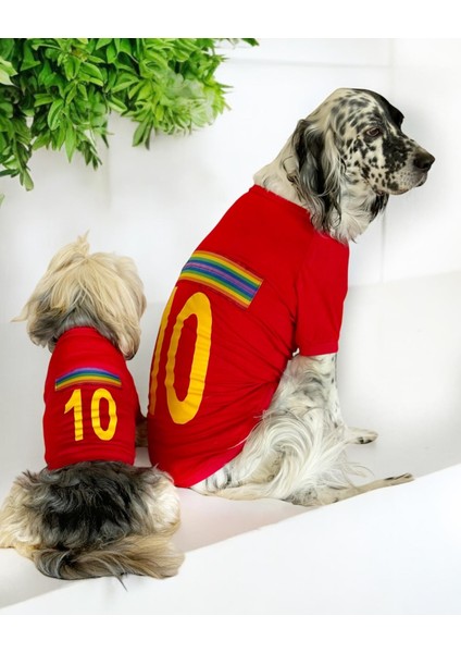 Uno Red Büyük Irk Köpekler Için Tişört fırsatları