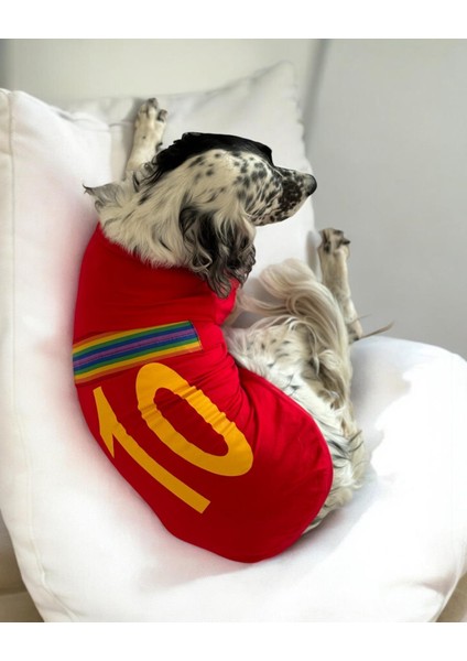 Uno Red Büyük Irk Köpekler Için Tişört indirimleri