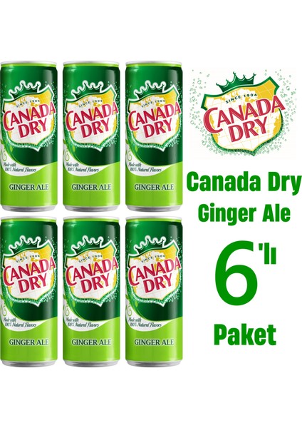 Ginger Ale 6'lı Paket