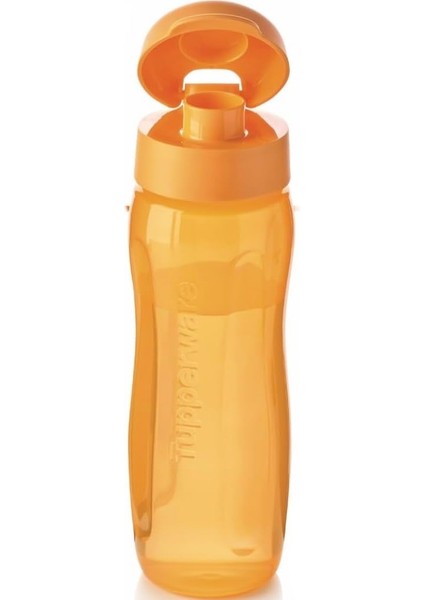 Eco Şişe 500 ml Silim Ayçiçeği Turuncu