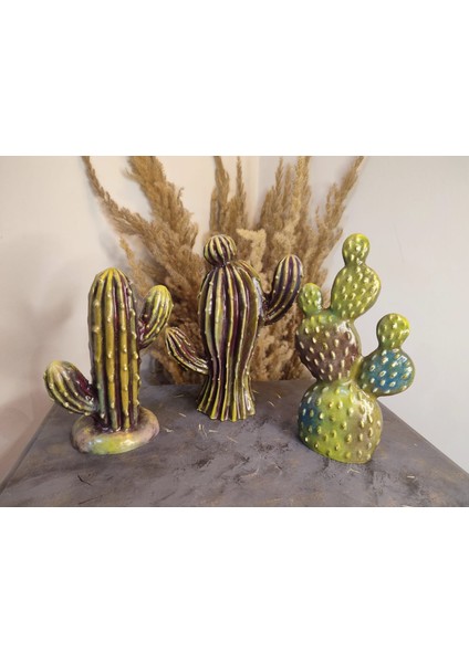 Kaktüs Polyester Biblo 3 Lü Takım fiyatları