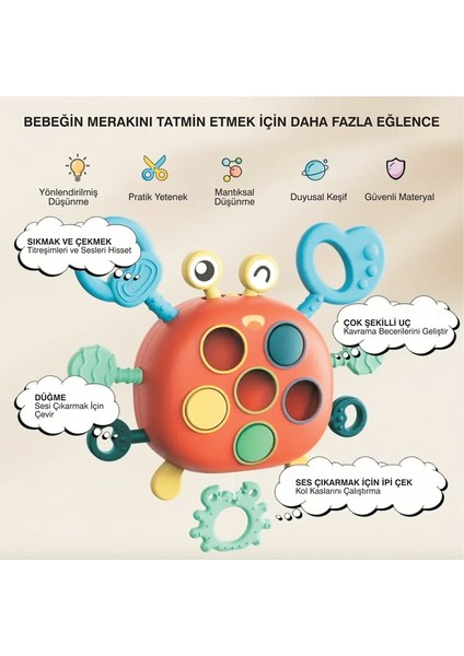 Yengeç Şekilli Montessori Duyusal Gözlem Beceri Geliştirme Eğitici Oyuncağı fırsatları
