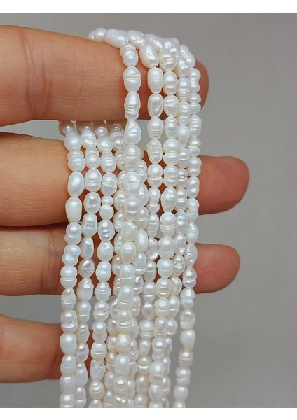 Inci Dizi Beyaz Royal Quality 2.5*4.5mm (53346) fırsatları