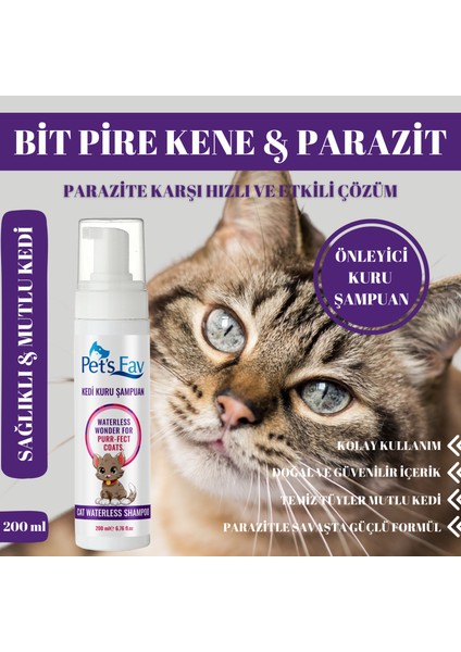 Kedi Bit Pire Kene ve Parazit Önleyici Kuru Köpük Şampuanı