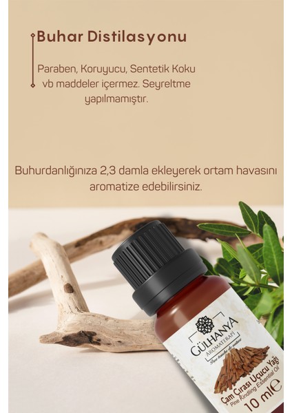 Gülhanya Çam Çırası Uçucu Yağı 10 ml