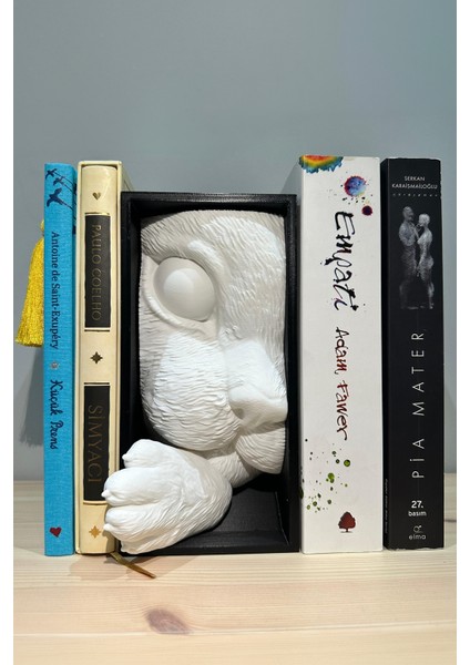Meraklı Kedi Kitap Tutucu Sevimli Kitap Desteği Dekoratif Boyalı 21CM Raf Organizeri