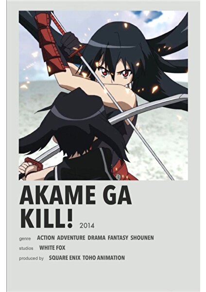 Rollas Store Akame Ga Kıll Anime A4 Boy Poster