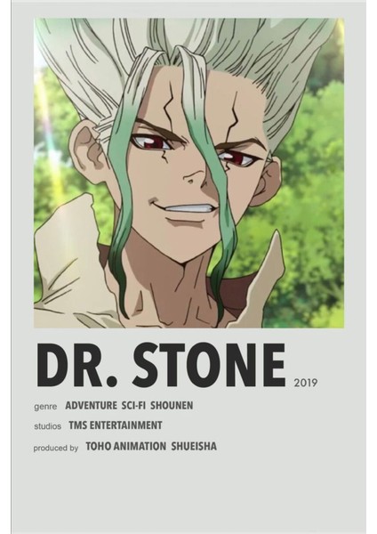 Rollas Store Dr Stone Anime A4 Boy Poster