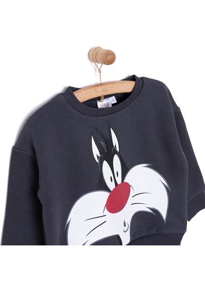 Looneytunes Looney Tunes Erkek Sweatshirt Erkek Bebek modelleri