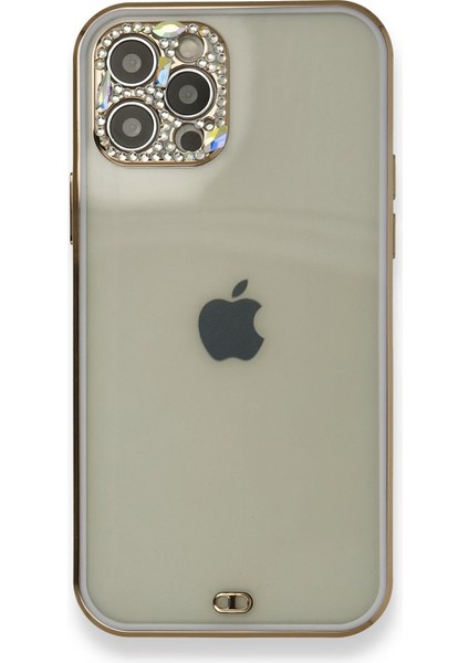Apple iPhone 12 Pro Max Kılıf Modern Tasarım Darbelere Karşı Korumalı Taşlı Liva Silikon Kapak