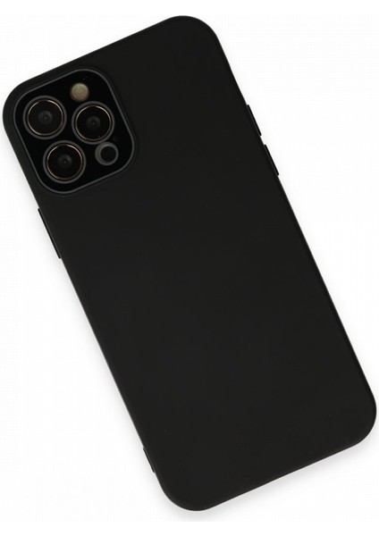 Apple iPhone 12 Pro Max Kılıf Pürüzsüz Soft Yüzey Içi Kadife Kamera Lens Korumalı Lansman Glass Silikon Kapak