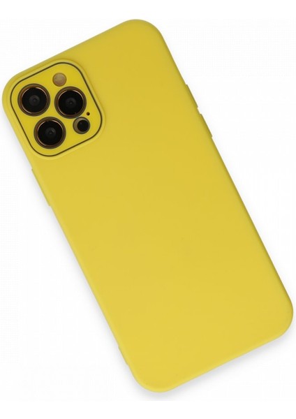 Apple iPhone 12 Pro Max Kılıf Pürüzsüz Soft Yüzey Içi Kadife Kamera Lens Korumalı Lansman Glass Silikon Kapak