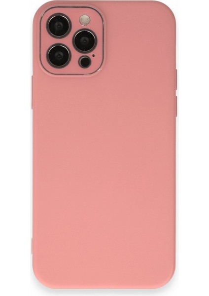 Apple iPhone 12 Pro Max Kılıf Pürüzsüz Soft Yüzey Içi Kadife Kamera Lens Korumalı Lansman Glass Silikon Kapak