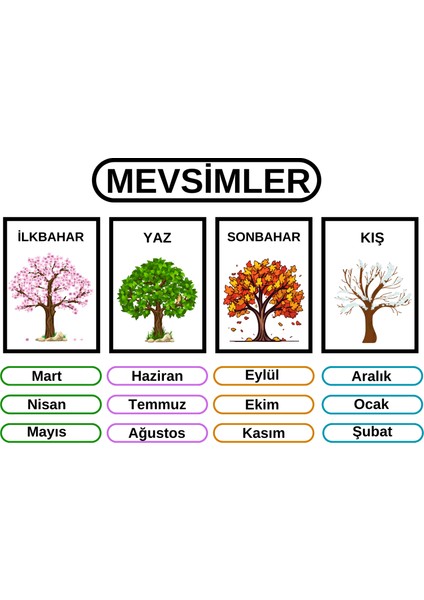 Mevsim Eğitici Tablo 35X50 cm Bristol Baskı 02