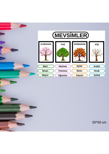 Mevsim Eğitici Tablo 35X50 cm Bristol Baskı 02