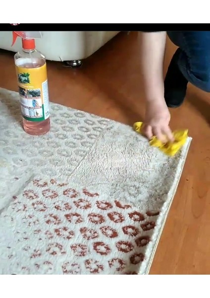 Ev Halısı Leke Çıkarıcı ve Nano Yüzey Temizleyicisi fiyatları