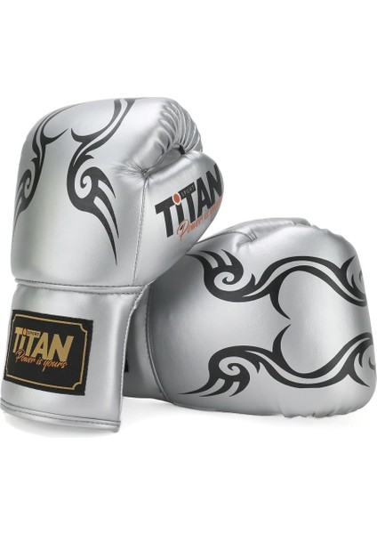 Gümüş (Silver) Model Ipli Boks Eldiveni