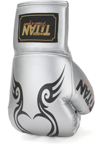Gümüş (Silver) Model Ipli Boks Eldiveni