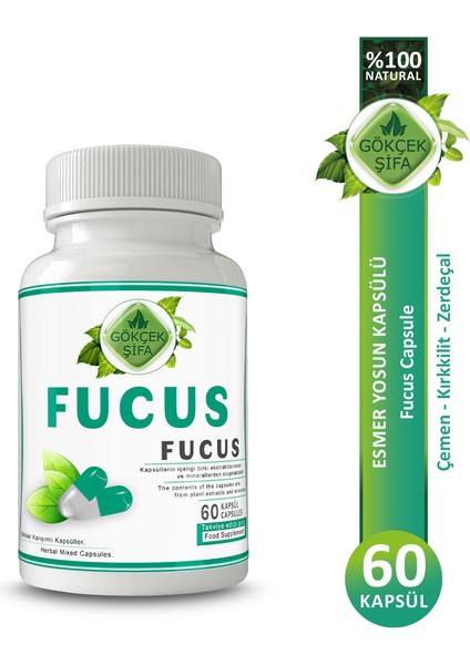 Fucus Kapsül (FUCUS CAPSULE)