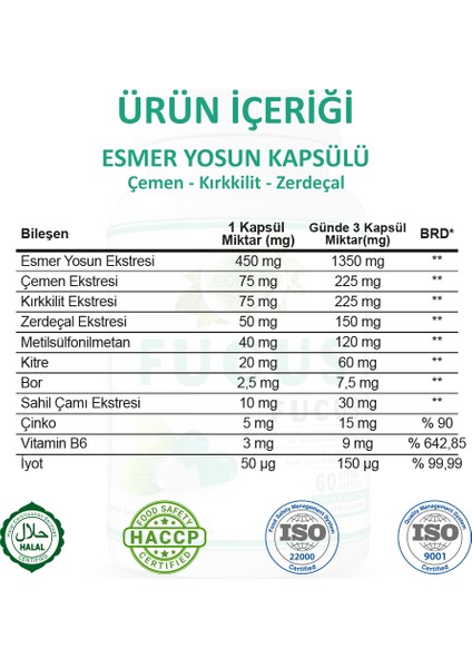 Fucus Kapsül (FUCUS CAPSULE)