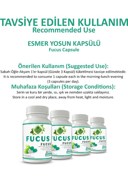 Fucus Kapsül (FUCUS CAPSULE)