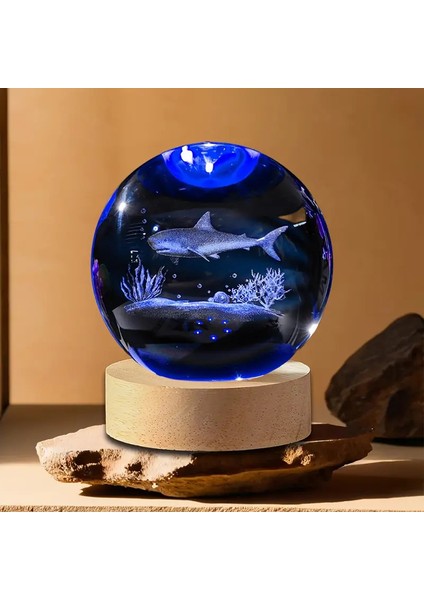 Kişiye Özel Büyük Boy Işıklı Ahşap Kaideli Köpek Balığı Temalı Cam Küre 8cm
