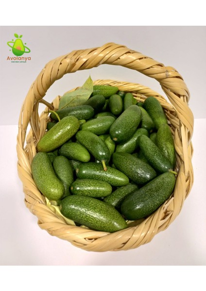 Baby Avokado 2 kg