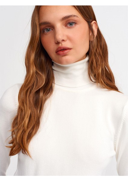 1268 Dilvin Balıkçı Yaka Yırmaçlı Kazak fiyatları