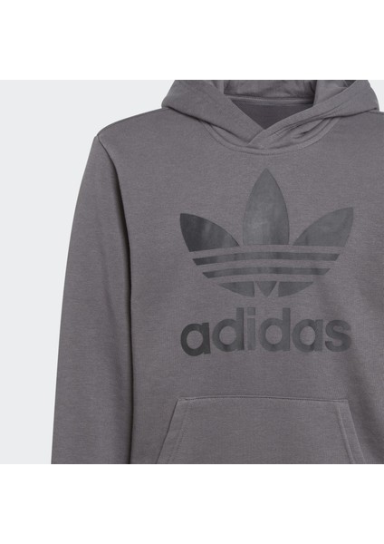 Adidas Originals IJ7206 Trefoil Hoodie