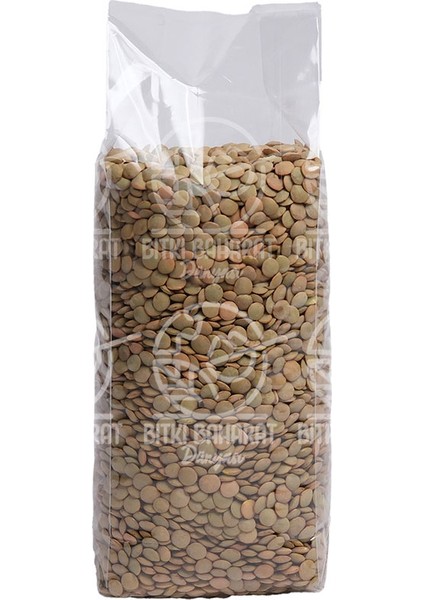 Yeşil Mercimek 500 gr modelleri