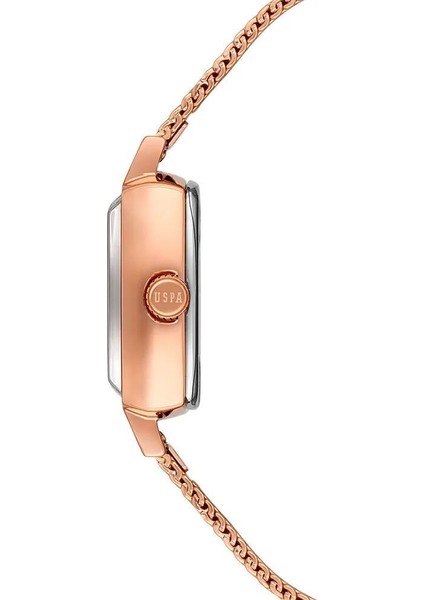 USPA2066-03 Uspa Saat fiyatları