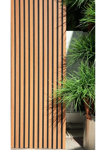 Defne Decor Akustik Panel Teak 50X280