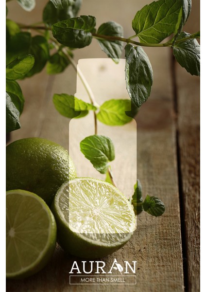 Bergamot Esansiyel Uçucu Koku Yağı Buhurdanlık Yağı Difüzör Esansı Hobi Esans Ortam Oda Kokusu 10ml fiyatları