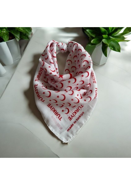 Unisex Beyaz Renk Içerisinde Ay Yıldızlı Kenarları Türkiye Yazılı %100 Koton 29 Ekim Bandana