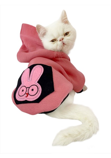 Student Rabbit Sweatshirt Kedi Kıyafeti Kedi Elbisesi