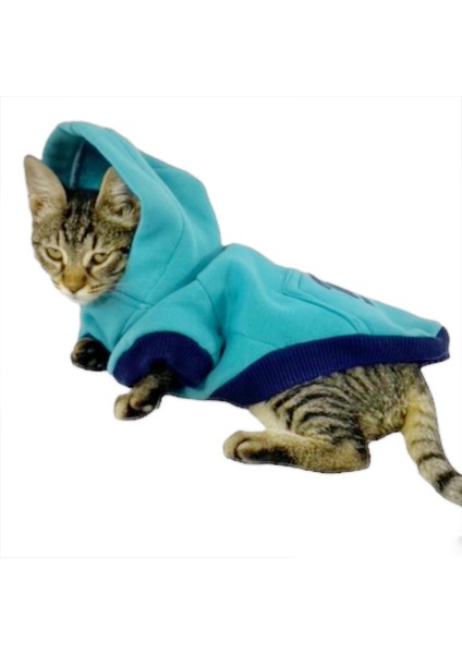 Team Sweatshirt Kedi Kıyafeti Kedi Elbisesi