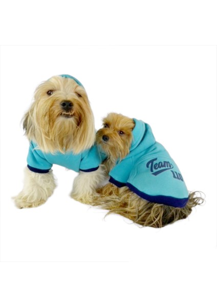 Team Sweatshirt Kedi Kıyafeti Kedi Elbisesi fiyatları