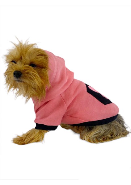 Student Rabbit Sweatshirt Köpek Kıyafeti Köpek Elbisesi