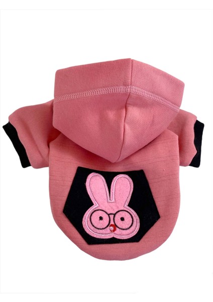 Student Rabbit Sweatshirt Köpek Kıyafeti Köpek Elbisesi