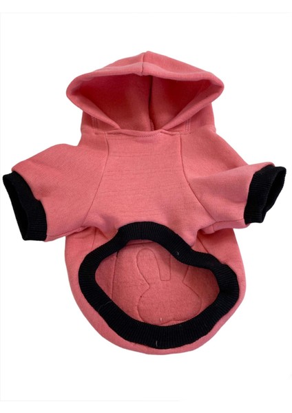 Student Rabbit Sweatshirt Köpek Kıyafeti Köpek Elbisesi