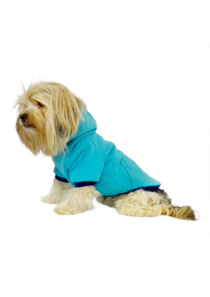 Team Sweatshirt Köpek Kıyafeti fiyatları