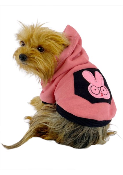 Student Rabbit Sweatshirt Köpek Kıyafeti Köpek Elbisesi