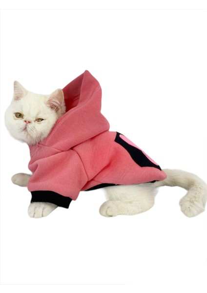 Student Rabbit Sweatshirt Kedi Kıyafeti Kedi Elbisesi