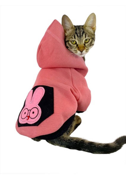 Student Rabbit Sweatshirt Kedi Kıyafeti Kedi Elbisesi