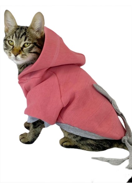 Pinky Rabbit Sweatshirt Kapşonlu Kedi Kıyafeti modelleri